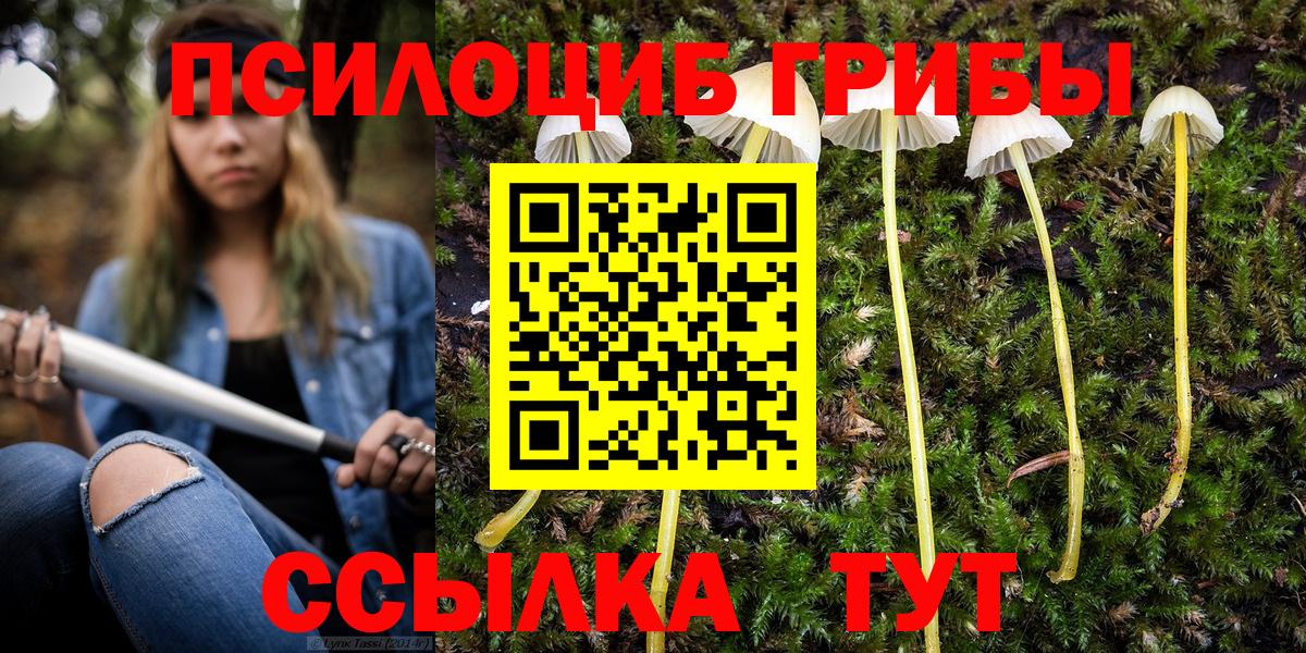 Галлюциногенные грибы мухоморы Среднеуральск