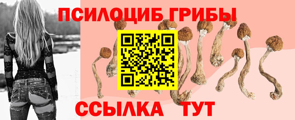Псилоцибиновые грибы ЛСД  Вход с VPN  Среднеуральск 
